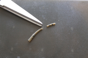 CURVED_LINE_ALIGNERS 3.JPG